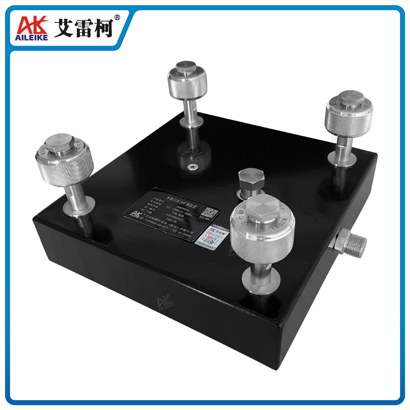 ALKZ904GL 多接口压力扩展装置 ALKZ904GL 多接口压力扩展装置