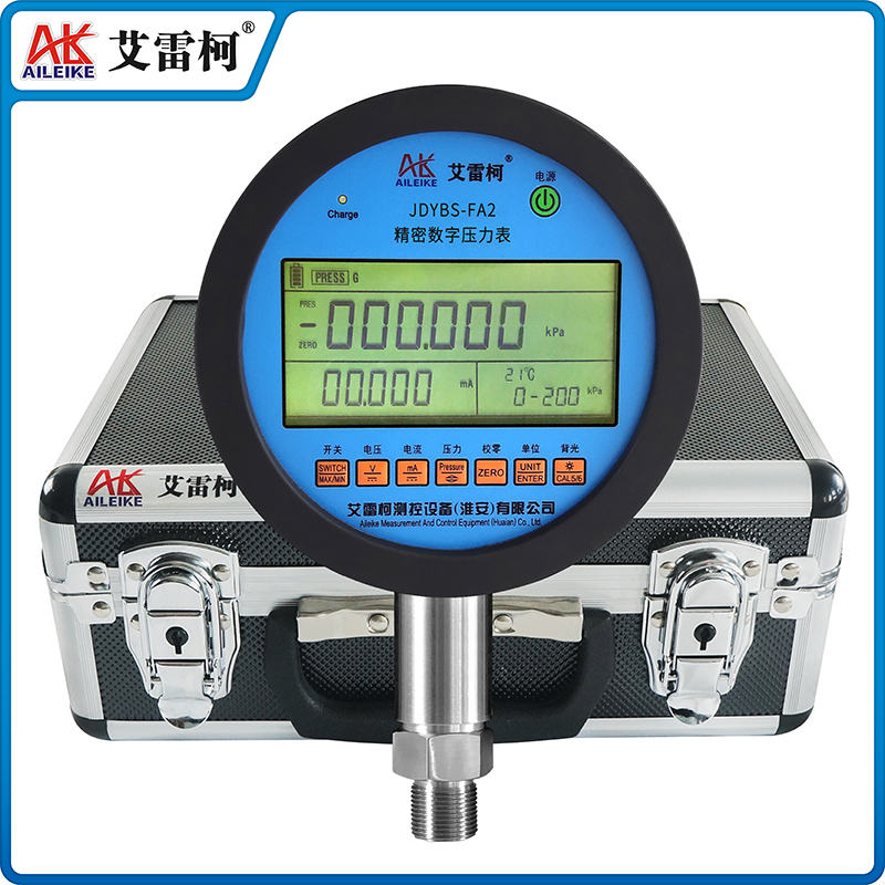 JDYBS-FA2 精密数字压力表 